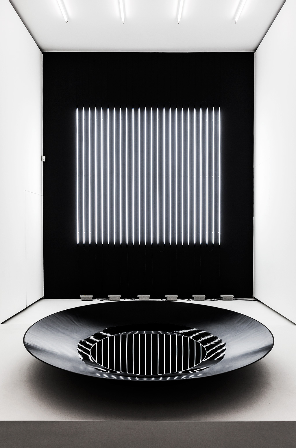 photo: julija stankevičienė reflektor distortion